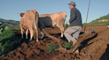 Agriculture - Agricultural web portal, agricultural extension offices, Tenerife-grown produce... 