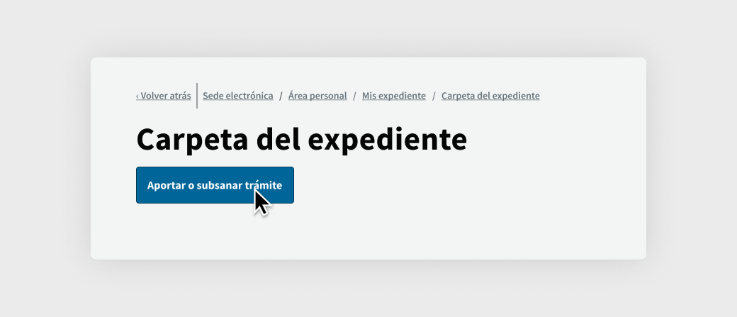 Cabecera de la Carpeta del expediente. Se muestra un botón azul, Aportar o subsanar trámite, con el curso encima.