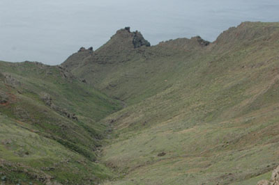 Vista general de la parcela