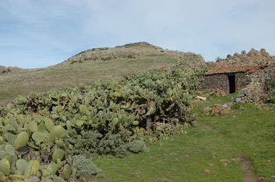 Patrimonio cultural