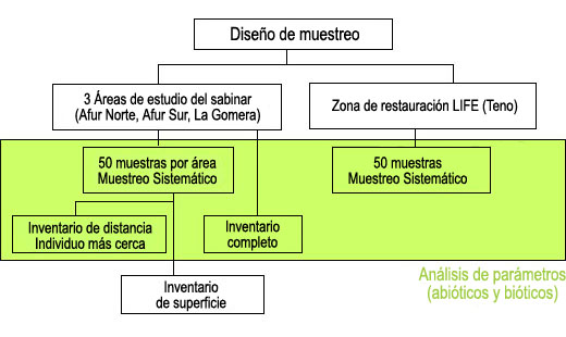Esquema del Diseo de muestreo